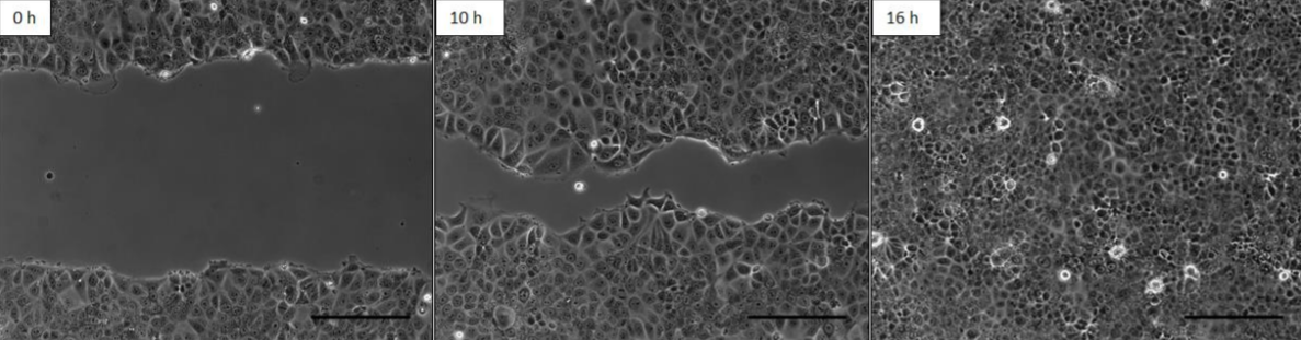 20220525-1960360106.png 20220525-1960360106.png