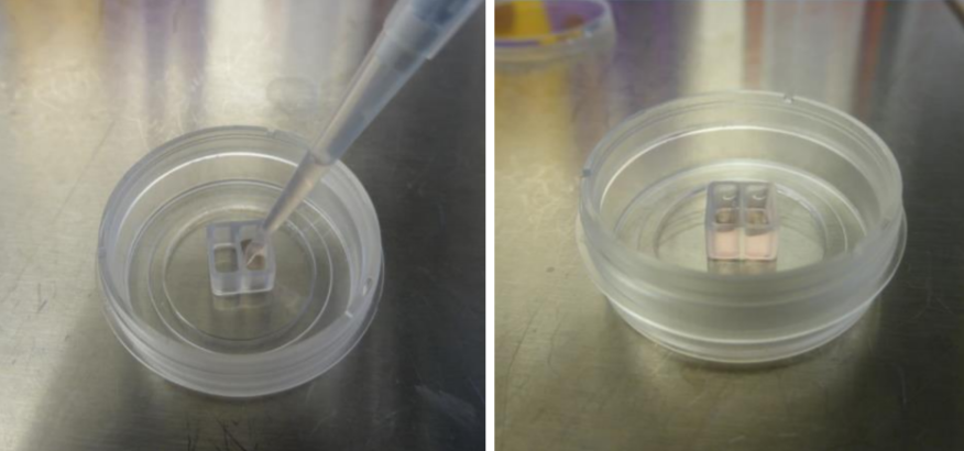 20220525-1214301946.png 20220525-1214301946.png