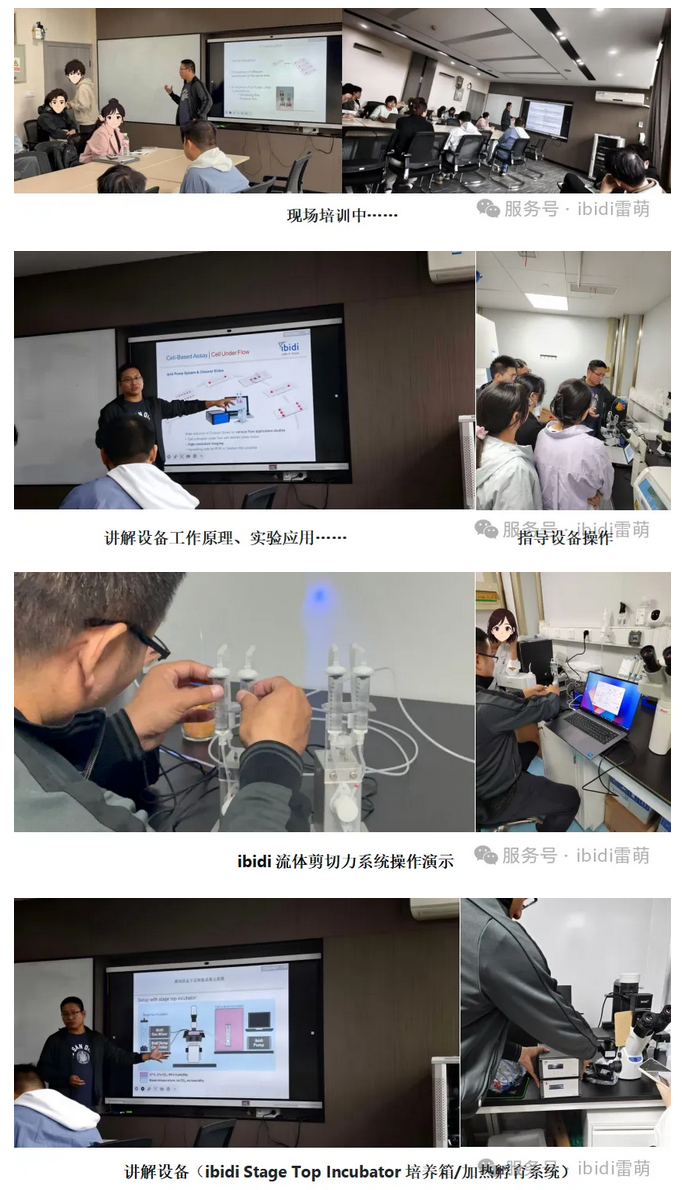 Screenshot 2025-10-24 at 13-47-42 【雷萌生物】技術賦能科研 ibidi流體剪切力系統(tǒng)&活細胞工作站裝機培訓圓滿落幕.png